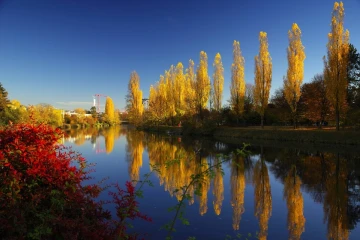 herbst limmat3
