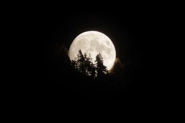 vollmond