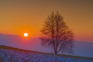 sonnenuntergang hoengg