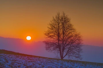 sonnenuntergang hoengg